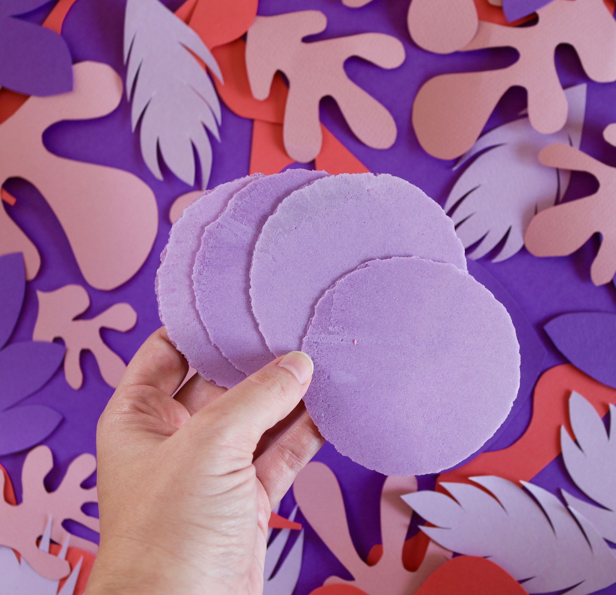 Obleas NUUM Taro – Bild 3